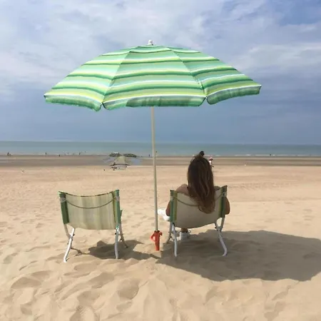 Apartment In Belgium With Sea View Koksijde
