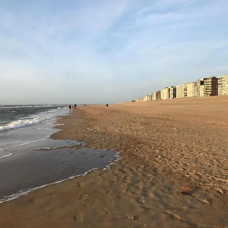 In Belgium With Sea View * Koksijde