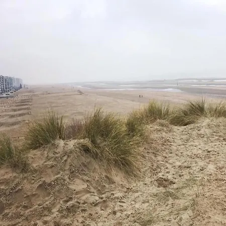 In Belgium With Sea View Apartment Koksijde